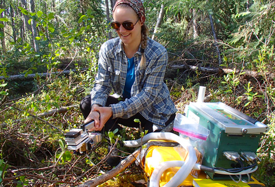 Jenna Rabley is using an instrument to measure plant photosynthetic and respiration rates.